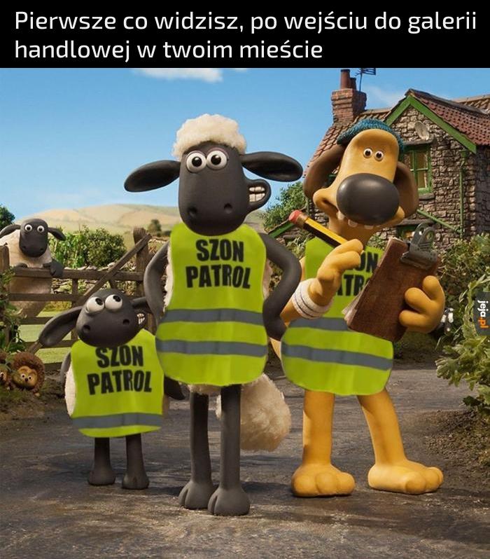Tak w skrócie