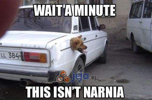 Chwileczkę... to nie Narnia!