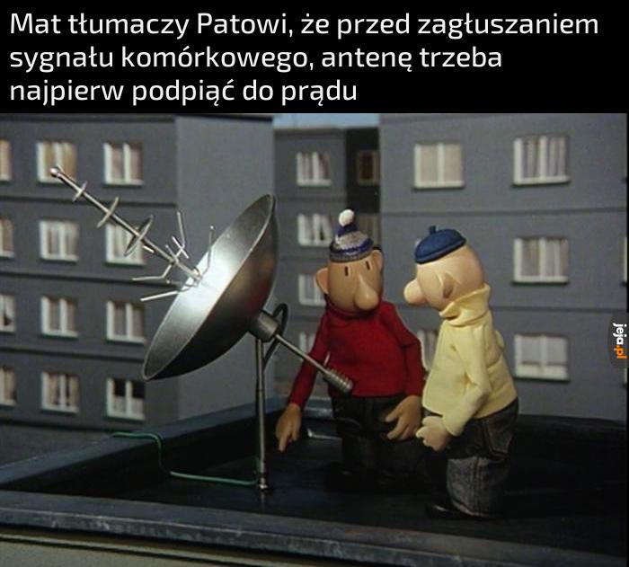 Tam jest gniazko