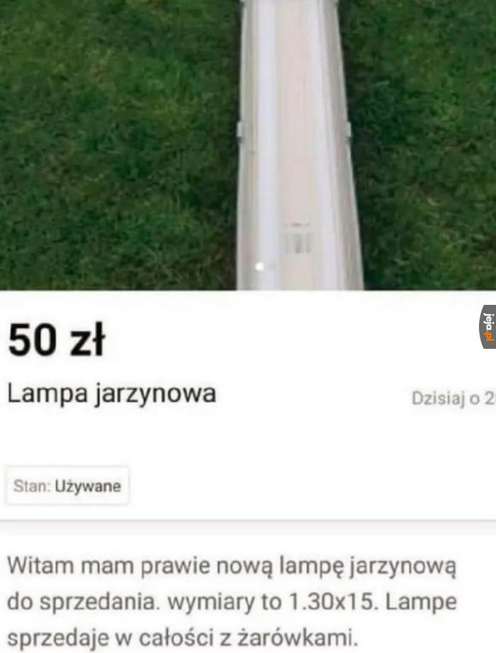 Chyba zostanę przy zupie
