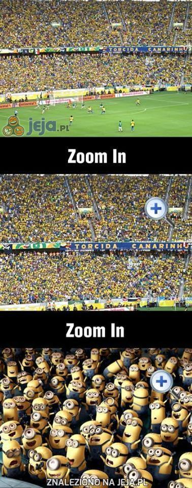 Minionki, wszędzie Minionki!