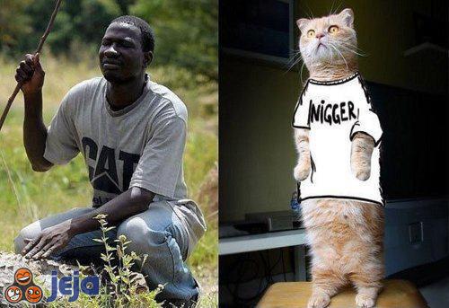 Bluza Cat vs bluza Nigger