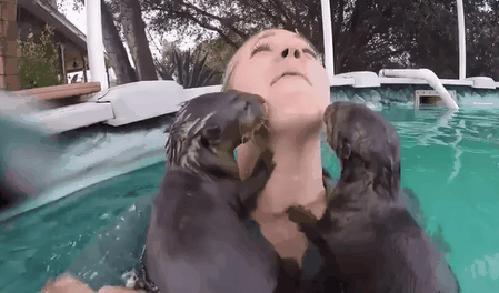 Zaatakowana przez stado zabójczych wydr