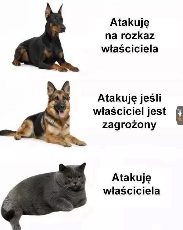 Ranking pupili