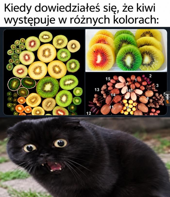Że co?!