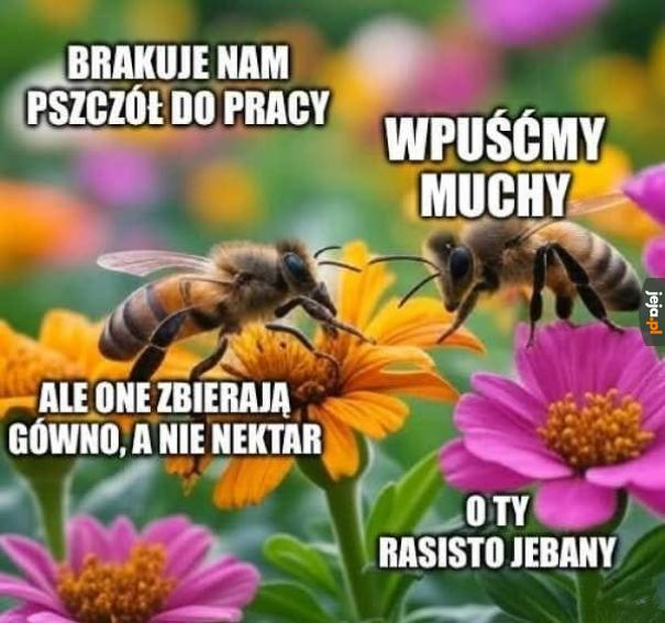 Oj nieładnie