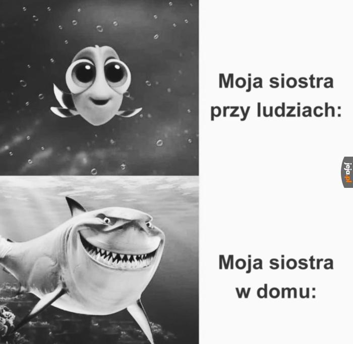 Kto ma siostrę ten wie