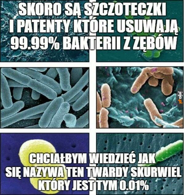 Dobry zawodnik!