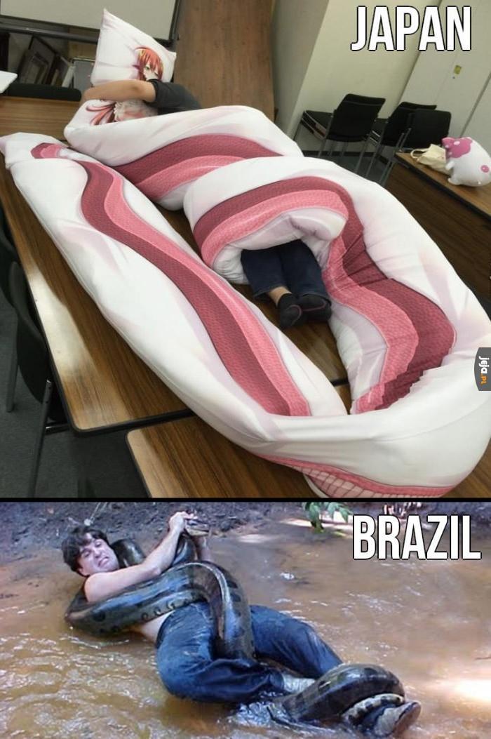 Japonia vs Brazylia
