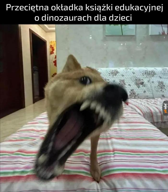 To właśnie dlatego dzieci uważają je za takie cool