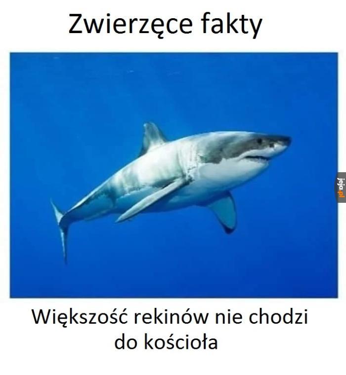 Fakt