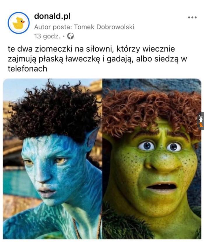 Totalnie