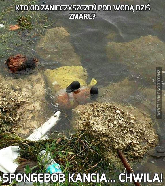 Kto od zanieczyszczeń pod wodą dziś zmarł?