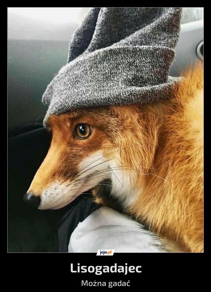 Lisogadajec