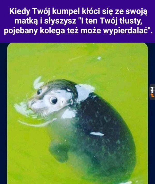 Ja?
