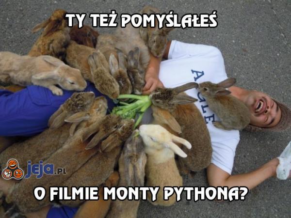 Ty też pomyślałeś o filmie Monty Pythona?