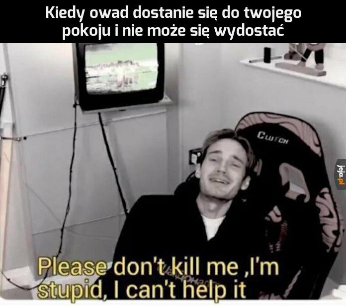 Nie zabijaj mnie za głupotę!