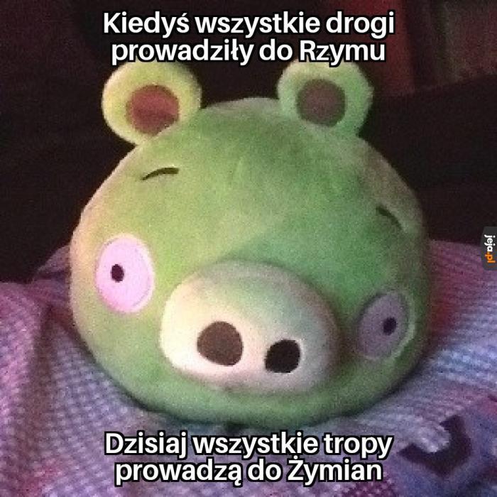 Czy to ta cała elitarna wiedza piłki?