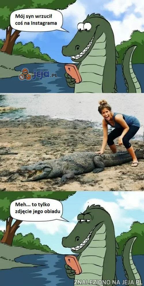 To już nawet krokodyle...