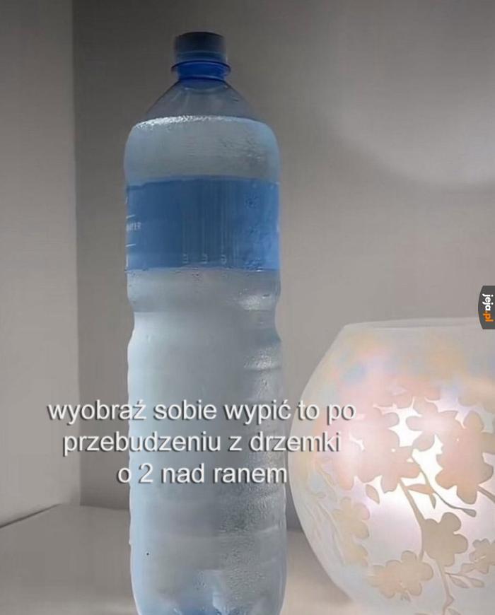 Absolutny raj