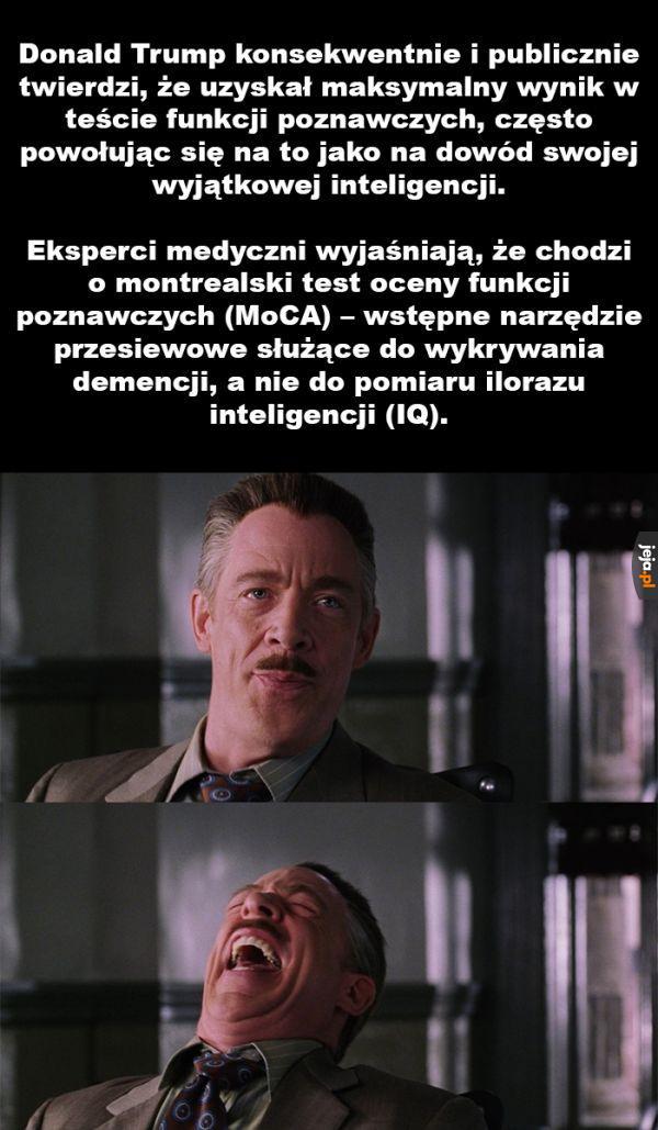 Geniusz u władzy