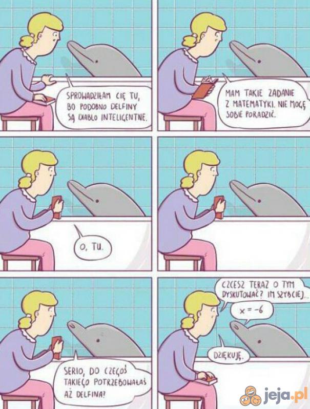 Delfiny to mądre stworzenia