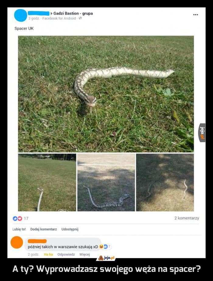 A ty? Wyprowadzasz swojego węża na spacer?