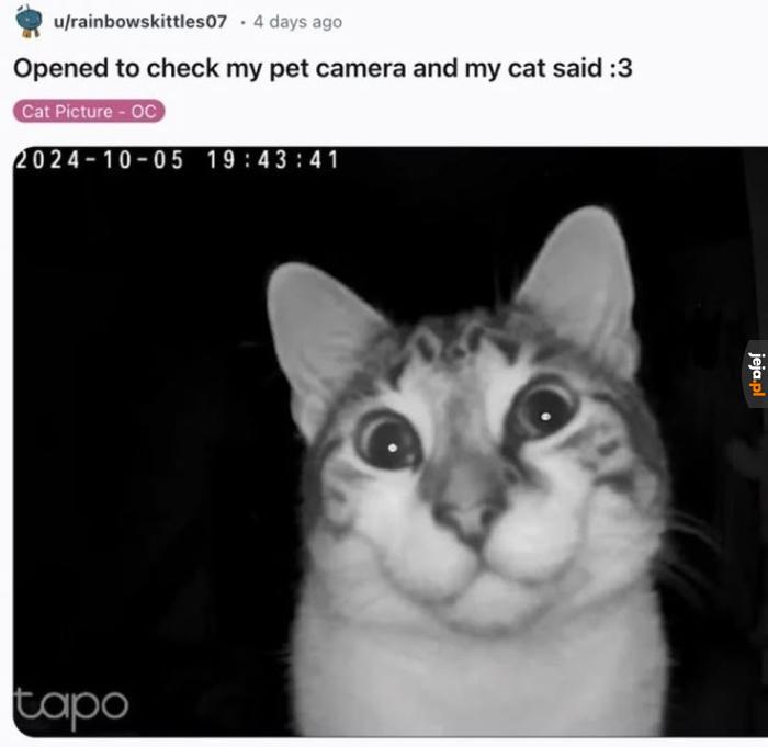 :3