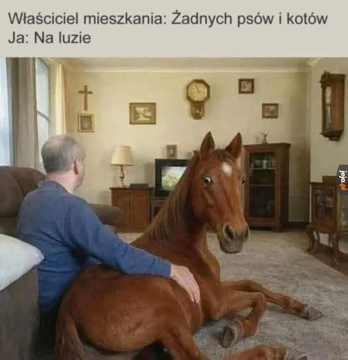 Zasady to zasady