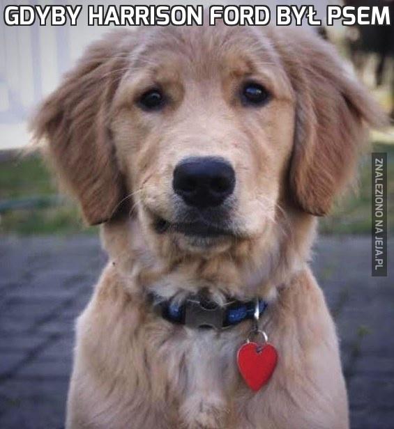 Gdyby Harrison Ford był psem