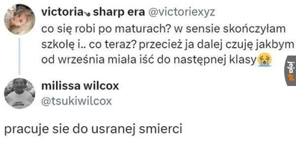 Co po maturach