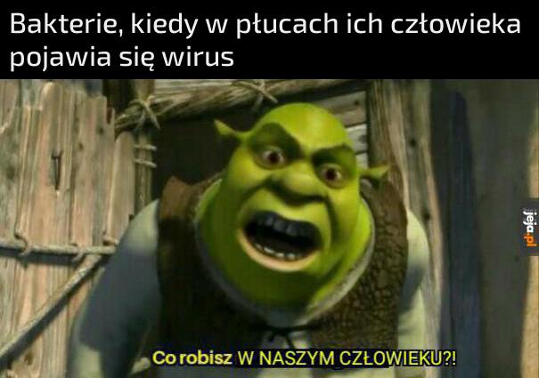 Wypad stąd!