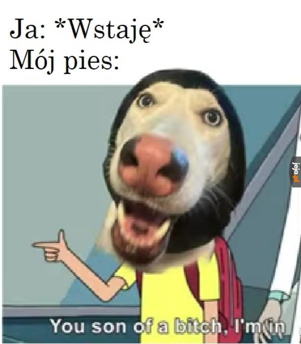 Zwłaszcza jak się idzie do kibla