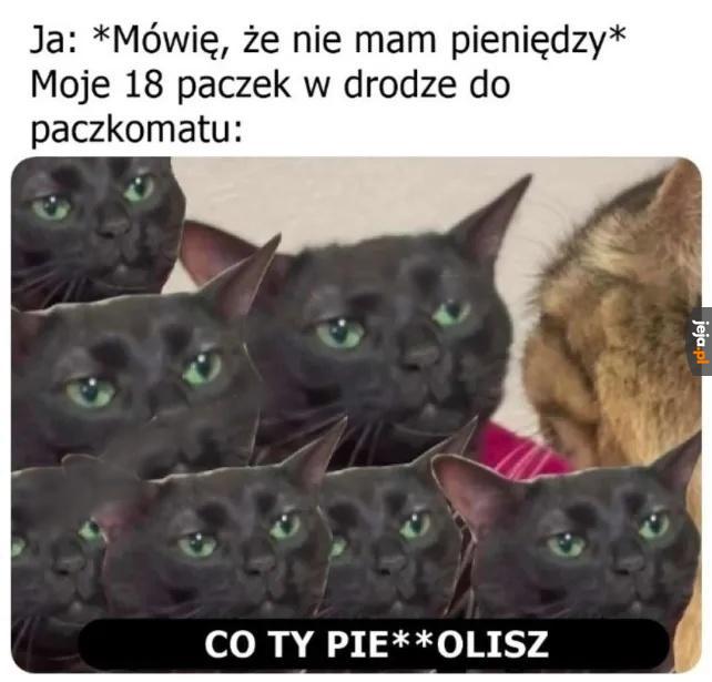Po coś jedziemy