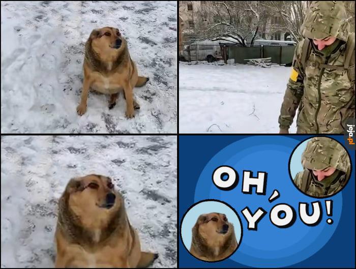 Kontekst do mema: pies zjadł ruskom całe żarcie, znaleźli go Ukraińcy