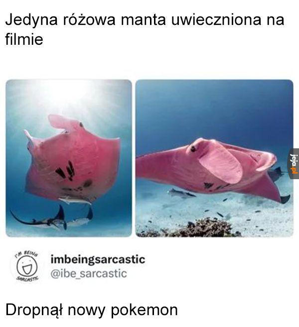 Ładny