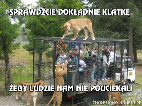 Sprawdźcie dokładnie klatkę