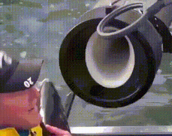 Fish cannon