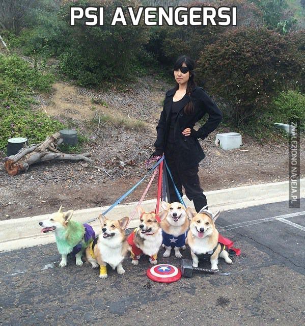 Psi Avengersi