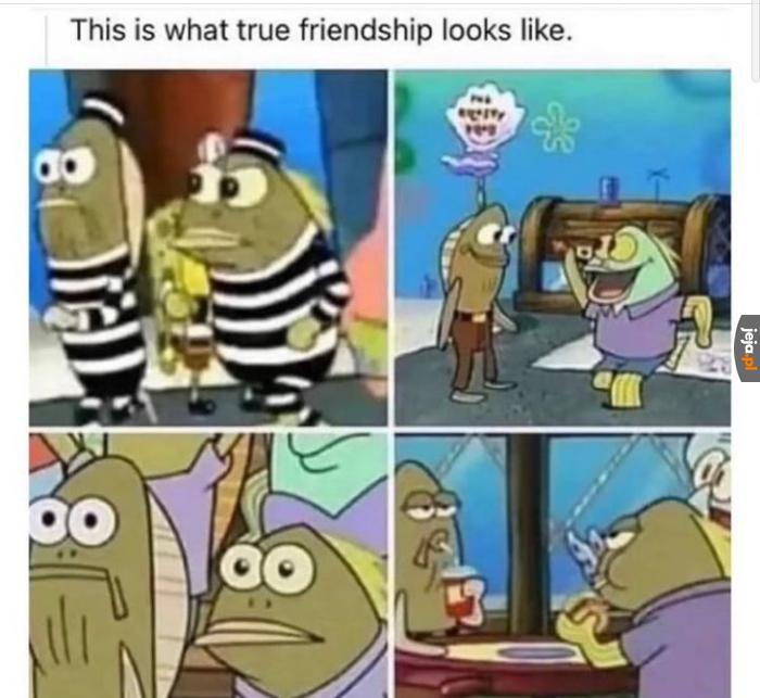 Prawdziwa przyjaźń