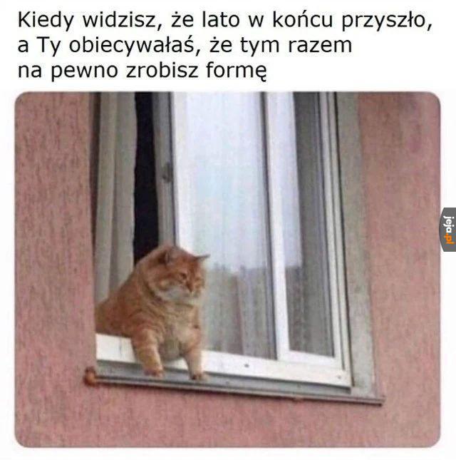 W sensie że w przyszłym roku miałem na myśli