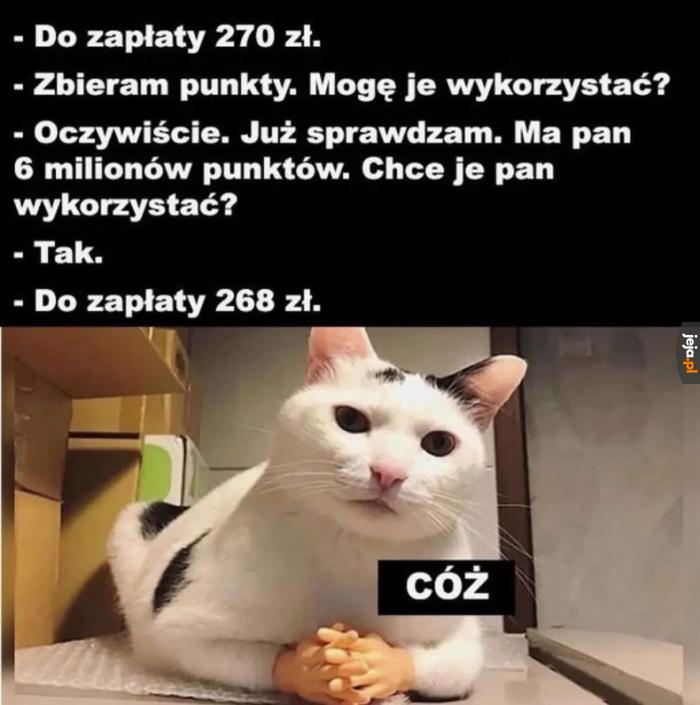 Warto było