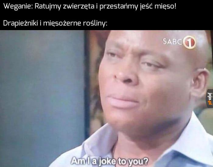 Wszystko je zwierzęta, nawet zwierzęta