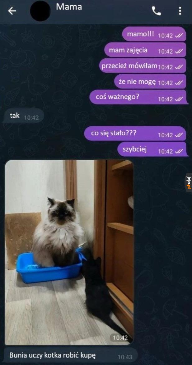 Pilne