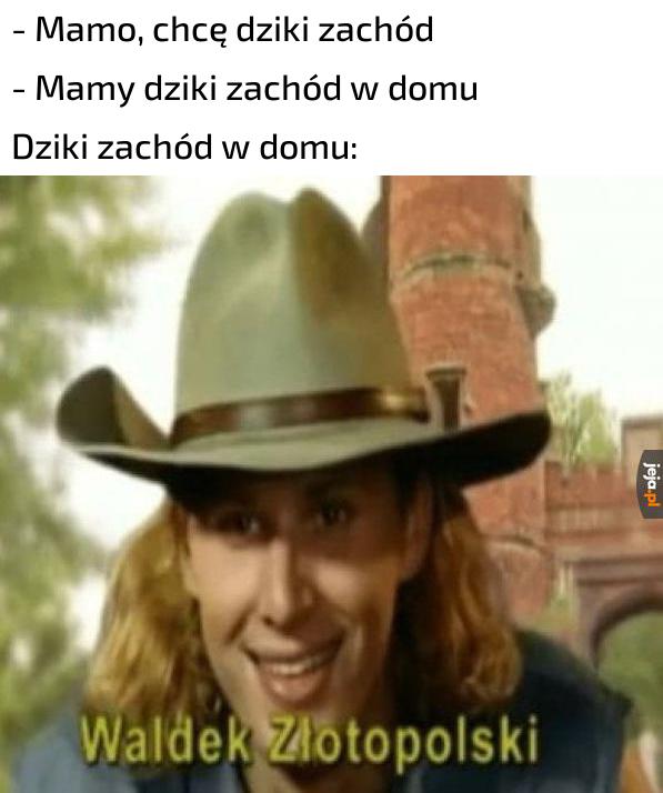 Kowboj jakich mało