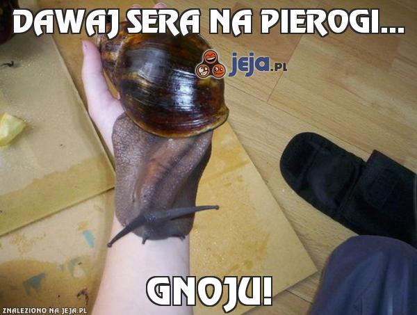 Dawaj sera na pierogi...