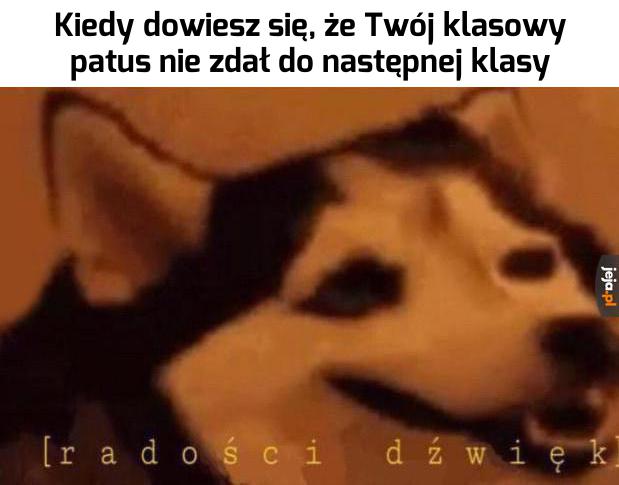 Chociaż tyle dobrego