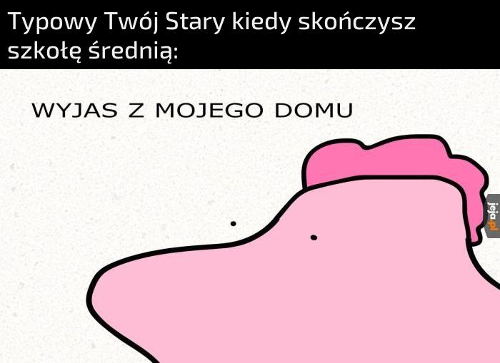 Praca albo Studia i bez dyskusji