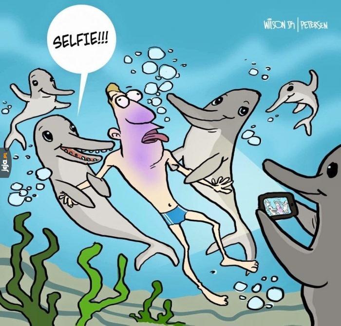 Zemsta delfinów