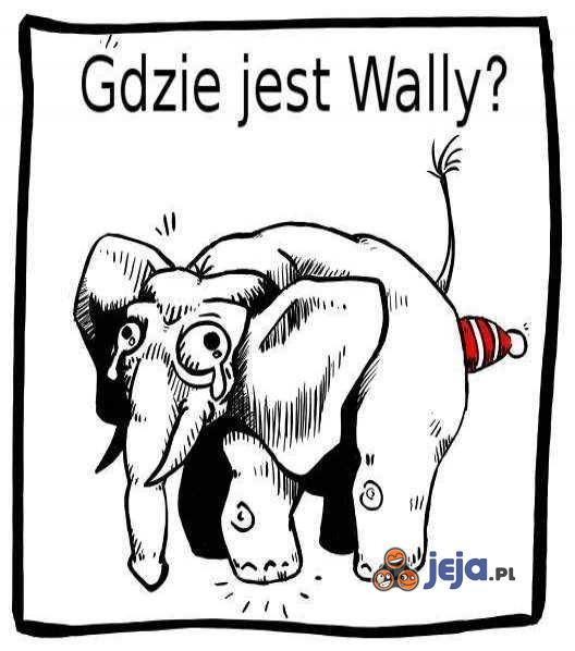 Gdzie jest Wally?